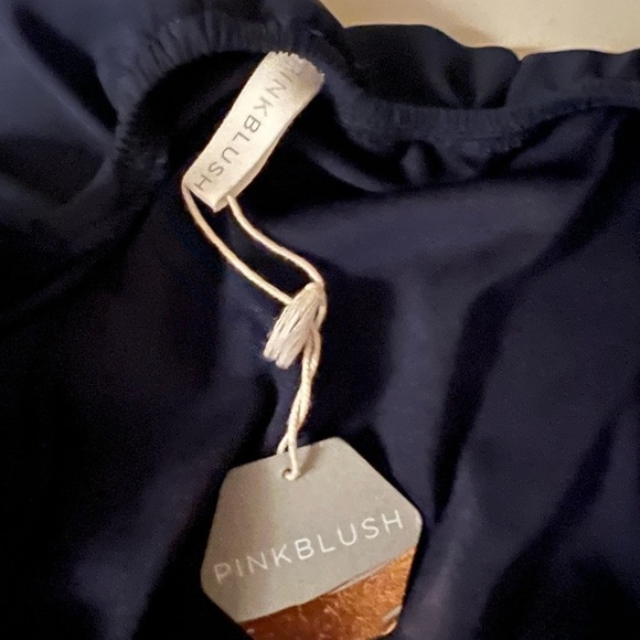 NWT | Pink Blush | Maxi Dress - Picture 2 of 3